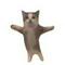 MR CAT