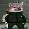bl1nk